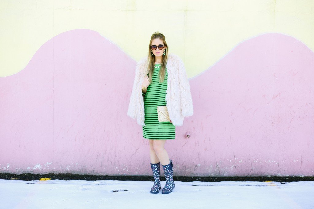 stripes and fur 3