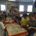 Tiffany Brevard County Sabal Elementary Summer Camp II